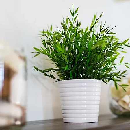 Due Passi Dal Borgo Antico باري