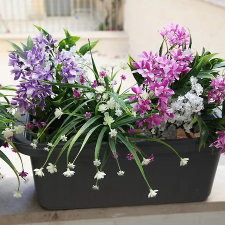 Due Passi Dal Borgo Antico * باري